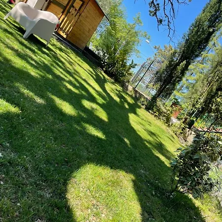 Il Leccione Apartment *